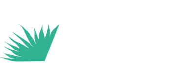agavebla1